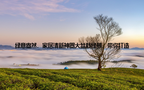 绿意盎然, 家居清新神器大盆栽绿萝, 带你打造清新生活新气象! 想要让家充满生机与活力, 一款大盆栽绿萝就能轻松搞定! 它不仅颜值高, 而且能净化空气, 是家居清新的神器
