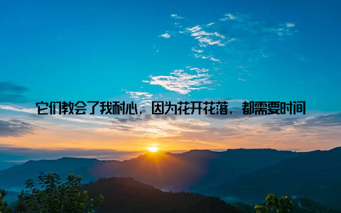 它们教会了我耐心, 因为花开花落, 都需要时间的等待它们教会了我珍惜, 因为每一朵花的绽放都是生命的奇迹它们教会了我感恩, 因为它们在寒冷的冬天里, 为我带来了温暖和希望