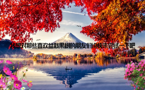 我想对那些喜欢盆栽果树的朋友们说快来尝试一下吧! 让我们一起打造属于自己的迷你果园, 享受收获果实带来的乐趣吧!