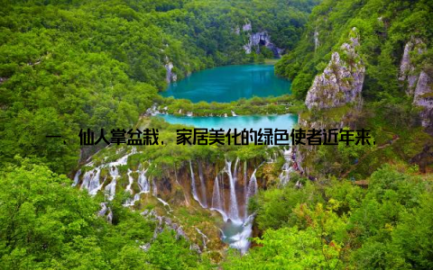 一、仙人掌盆栽, 家居美化的绿色使者近年来, 随着人们环保意识的提高, 绿色植物在家居装饰中的地位日益凸显
