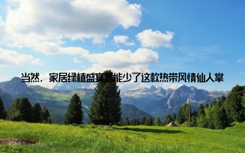 当然, 家居绿植盛宴怎能少了这款热带风情仙人掌呢? 仙人掌的叶片厚实, 表面覆盖着细细的刺, 给人一种神秘的感觉