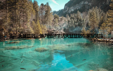 五、大盆盆栽, 助力绿色生活大盆盆栽在家居装饰中发挥着重要作用, 不仅提升了家居品质, 还助力了绿色生活