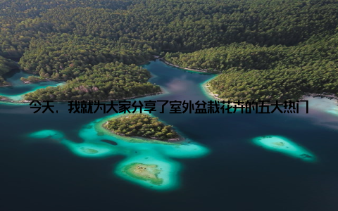今天, 我就为大家分享了室外盆栽花卉的五大热门品种, 希望你们在养花的过程中, 能找到属于自己的那份美好