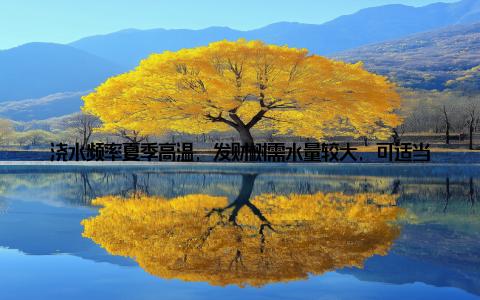 浇水频率夏季高温, 发财树需水量较大, 可适当缩短浇水周期冬季低温, 发财树需水量减少, 可适当延长浇水周期