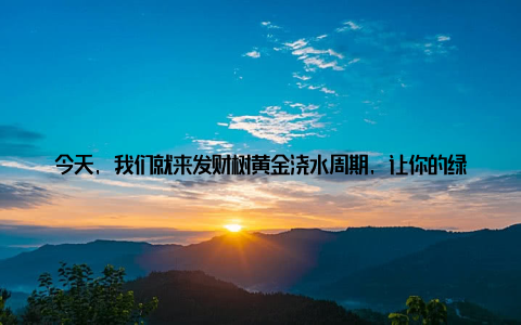 今天, 我们就来发财树黄金浇水周期, 让你的绿植长势惊人! 一、发财树浇水频率之谜发财树, 学名苏铁, 是一种喜光耐阴的植物, 适合室内养护