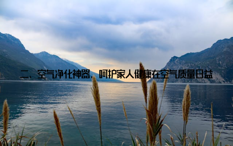 二、空气净化神器, 呵护家人健康在空气质量日益严峻的今天, 大盆栽绿萝凭借其强大的空气净化功能, 成为守护家人健康的绿色卫士