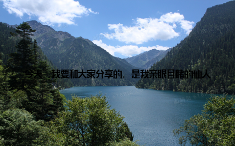 今天, 我要和大家分享的, 是我亲眼目睹的仙人指盆栽技艺, 那种妙手偶得、点石成金的神奇, 让我为之倾倒