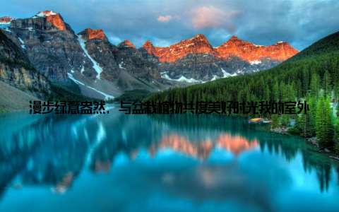 漫步绿意盎然, 与盆栽植物共度美好时光我的室外盆栽植物分享之旅大家好, 我是一个热爱生活、热爱自然的盆栽爱好者