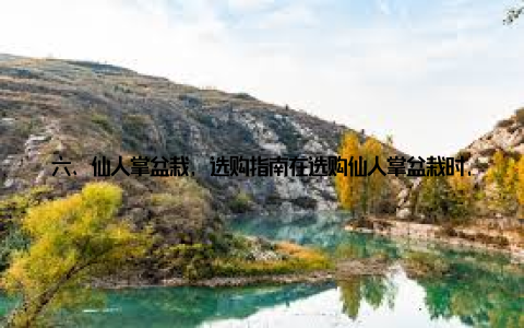 六、仙人掌盆栽, 选购指南在选购仙人掌盆栽时, 应注意以下几点 选择健康、无病虫害的植株 观察仙人掌的颜色和形状, 选择形态美观的 注意仙人掌的品种, 不同品种的仙人掌养护方法略有不同