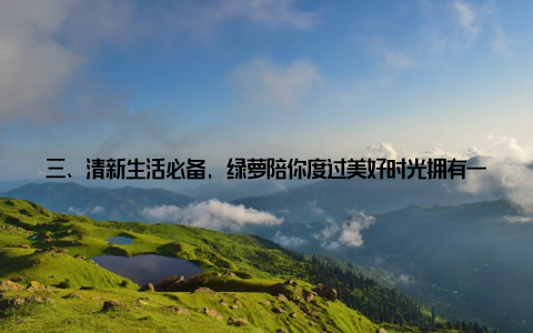 三、清新生活必备, 绿萝陪你度过美好时光拥有一盆大盆栽绿萝, 不仅能为家居增添一抹绿色, 还能让我们在繁忙的生活中找到一丝宁静