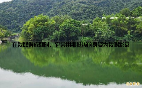 在我取得成就时, 它会用那挺拔的身姿为我喝彩恭喜你, 你做到了! 养小核桃树的过程让我学会了耐心和细心