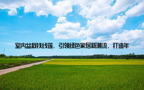 室内盆栽铁线莲, 引领绿色家居新潮流, 打造年轻人的家居时尚新风尚随着生活节奏的加快, 越来越多的人开始关注家居环境的绿色与美观
