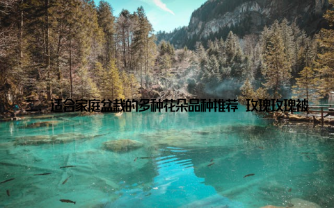 二、适合家庭盆栽的多种花朵品种推荐 玫瑰玫瑰被誉为花中皇后, 其色彩丰富, 花香浓郁, 是家居盆栽的绝佳选择