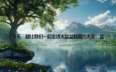 今天, 就让我们一起走进大盆盆栽图片大全, 盆栽植物大集合各式大盆盆栽美图赏析的世界, 感受大自然的魅力