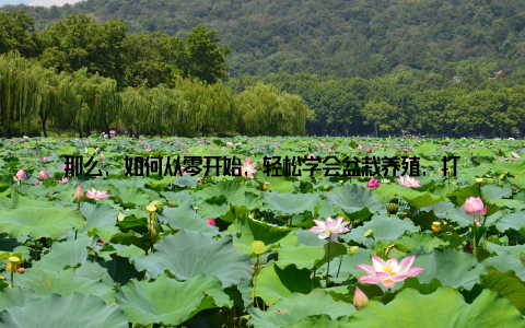 那么, 如何从零开始, 轻松学会盆栽养殖, 打造家居绿意盎然呢? 本文将为你提供一份详细的盆栽入门攻略, 让你轻松成为绿色生活的倡导者