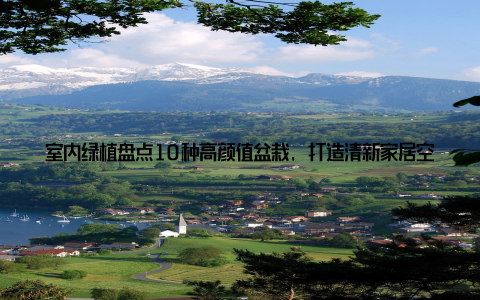 室内绿植盘点10种高颜值盆栽, 打造清新家居空间, 让你的家焕发生机! 随着生活节奏的加快, 越来越多的年轻人开始注重家居环境的舒适与美观