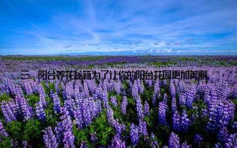 三、阳台养花秘籍为了让你的阳台花园更加美丽, 以下是一些养花秘籍 选择合适的花盆花盆的大小、材质要适宜, 确保花卉的生长空间