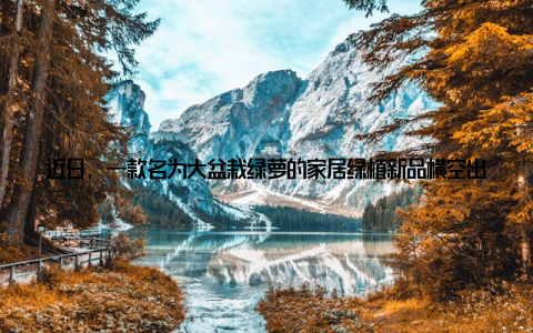 近日, 一款名为大盆栽绿萝的家居绿植新品横空出世, 凭借其独特的造型、强大的空气净化功能以及养眼养生的特性, 迅速成为市场上的热销产品