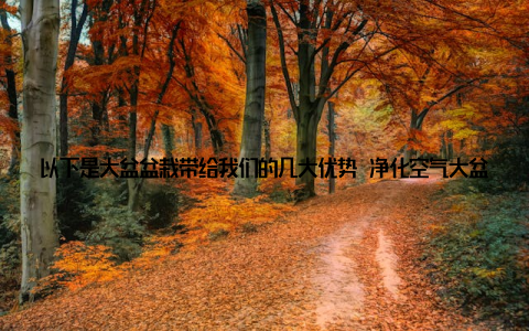 以下是大盆盆栽带给我们的几大优势 净化空气大盆盆栽可以吸收室内的有害气体, 释放氧气, 改善室内空气质量