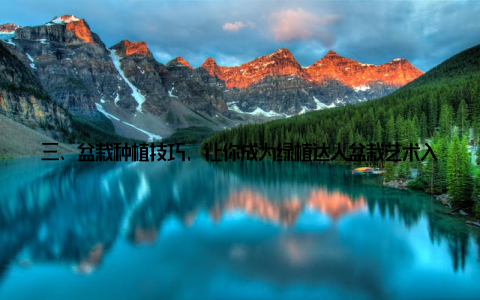 三、盆栽种植技巧, 让你成为绿植达人盆栽艺术入门哪里可以学到盆栽种植技巧? 以下是一些实用的盆栽种植技巧, 帮助你成为绿植达人 选择合适的盆栽根据你的居住环境和喜好, 选择合适的盆栽