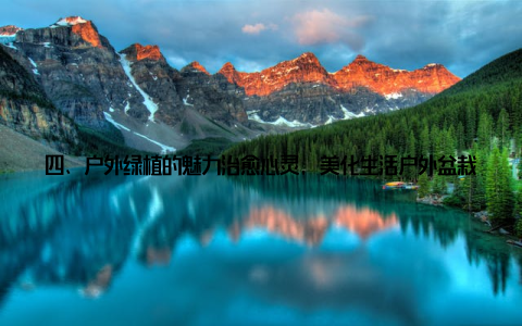 四、户外绿植的魅力治愈心灵, 美化生活户外盆栽植物图片及名称、户外盆栽植物精美图片大赏及品种名称, 这些绿色精灵为我们的生活带来了无尽的惊喜