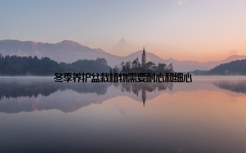 冬季养护盆栽植物需要耐心和细心