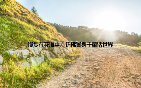 漫步在花海中, 仿佛置身于童话世界