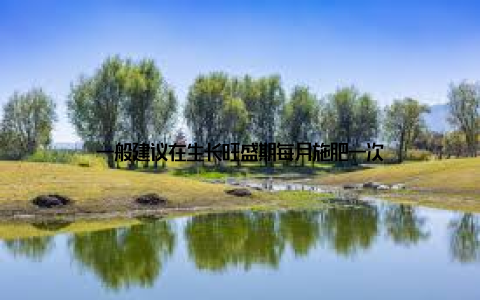 一般建议在生长旺盛期每月施肥一次