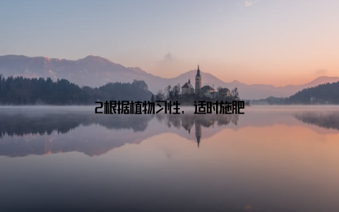 2根据植物习性, 适时施肥