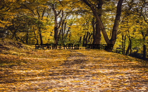 施肥紫薇生长旺盛, 需定期施肥