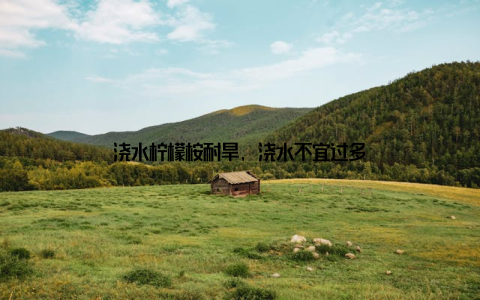 浇水柠檬桉耐旱, 浇水不宜过多