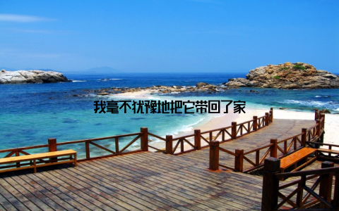 我毫不犹豫地把它带回了家