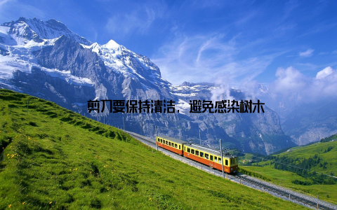 – 剪刀要保持清洁, 避免感染树木