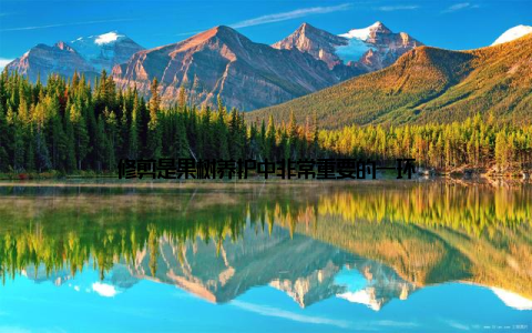 修剪是果树养护中非常重要的一环