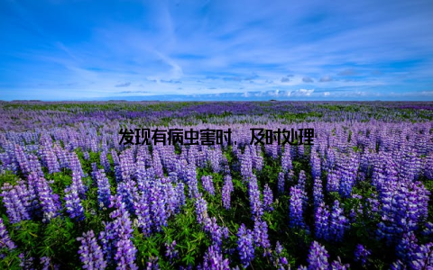 发现有病虫害时, 及时处理