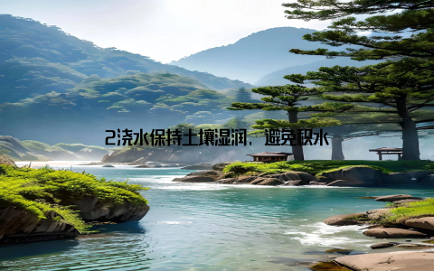 2浇水保持土壤湿润, 避免积水
