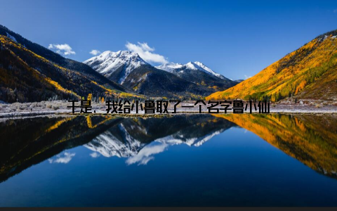 于是, 我给小鲁取了一个名字鲁小仙