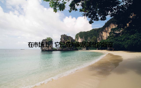 在市场上, 它已成为家居美化的新宠