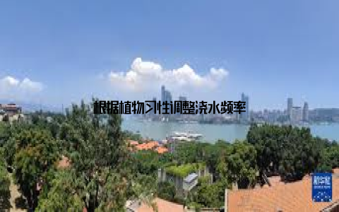 根据植物习性调整浇水频率
