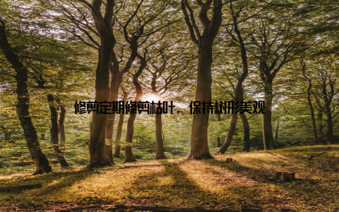 修剪定期修剪枯叶, 保持树形美观