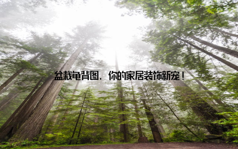 盆栽龟背图, 你的家居装饰新宠!