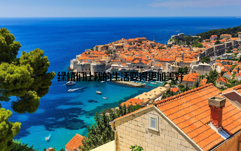 绿植们让我的生活变得更加美好