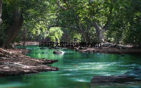 这就是大型盆栽的魅力所在