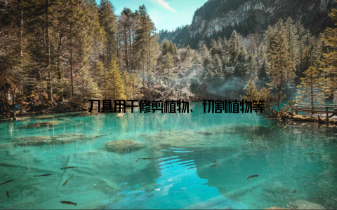 – 刀具用于修剪植物、切割植物等