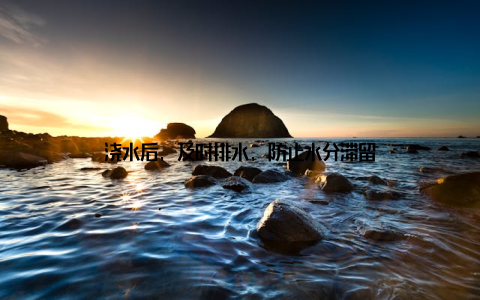 浇水后, 及时排水, 防止水分滞留