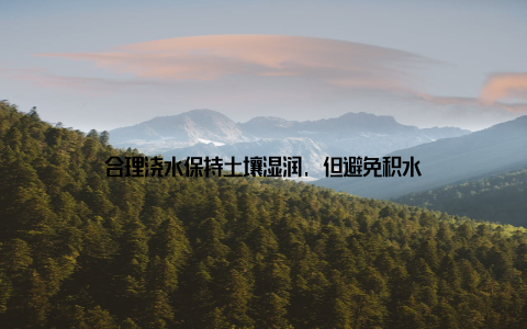 合理浇水保持土壤湿润, 但避免积水