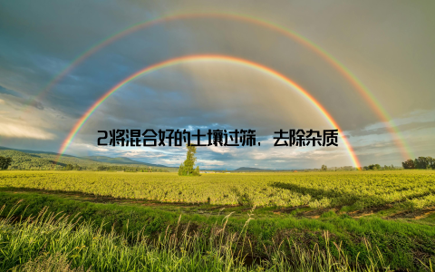 2将混合好的土壤过筛, 去除杂质