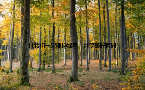 让我们一起拥抱绿色, 共享美好家园