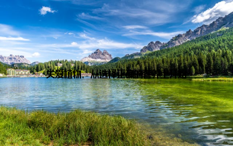 关爱植物, 从选择正确的营养土开始