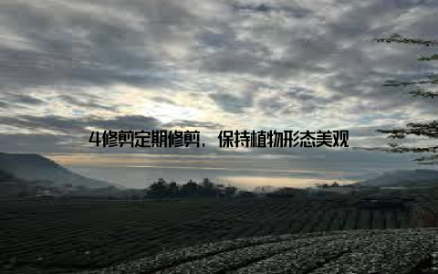 4修剪定期修剪, 保持植物形态美观